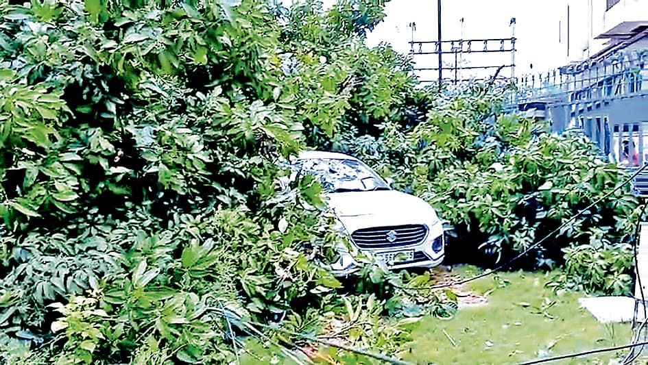 लगातार बारिश से कहीं गिरे पेड़, तो कहीं टूटे मकान