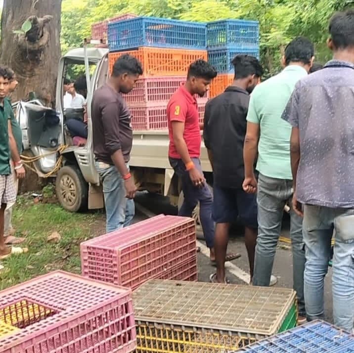 पेड़ से टकराई अनियंत्रित मैजिक, चालक जख्मी