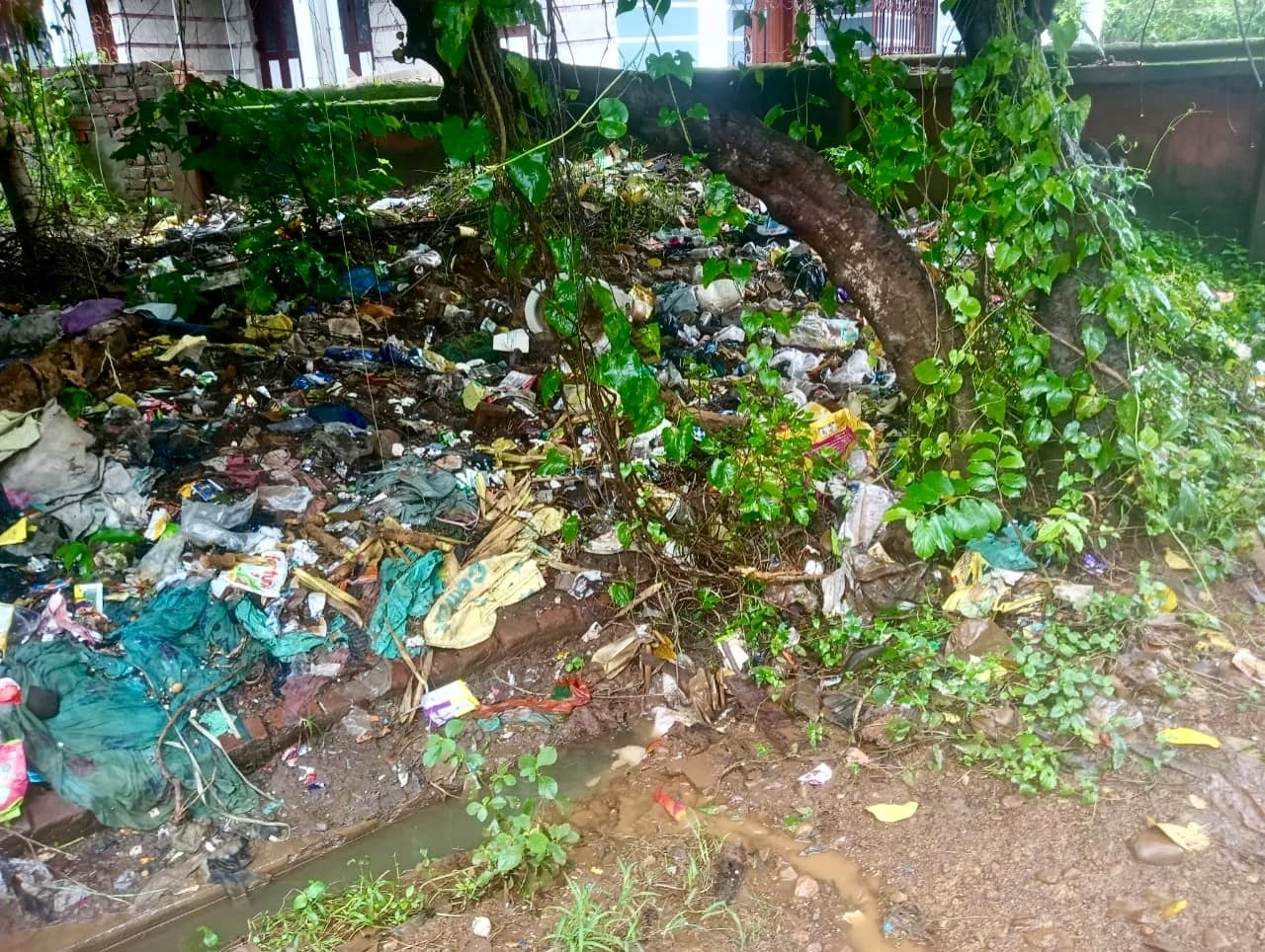 East Singhbhum News : कागजों पर सफाई, हकीकत नारकीय