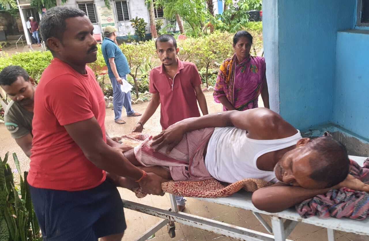 पत्ता तोड़ने में पेड़ से गिरकर एक व्यक्ति घायल