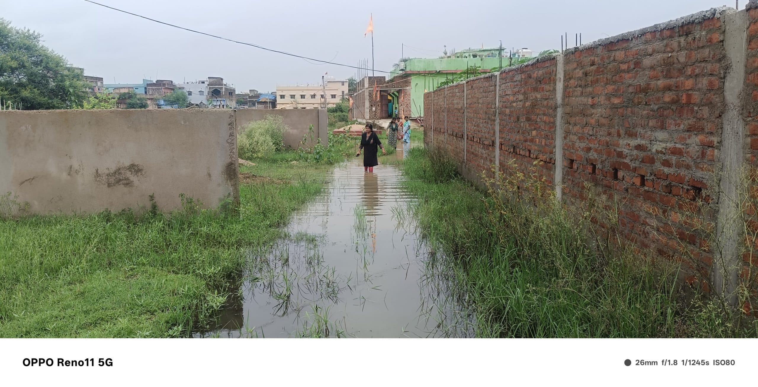 Chaibasa News : बरसात में घुटनों तक पानी, पेड़ों पर लटके बिजली के तार