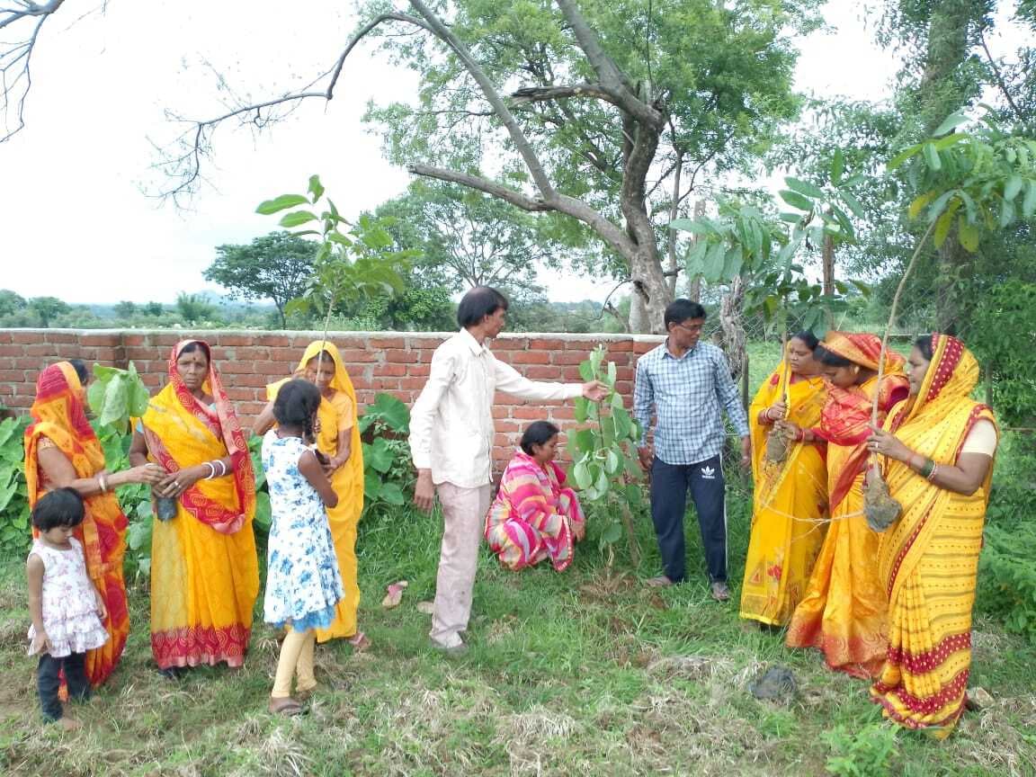 Giridih News :गायत्री परिवार ने स्कूलों में किया पौधरोपण