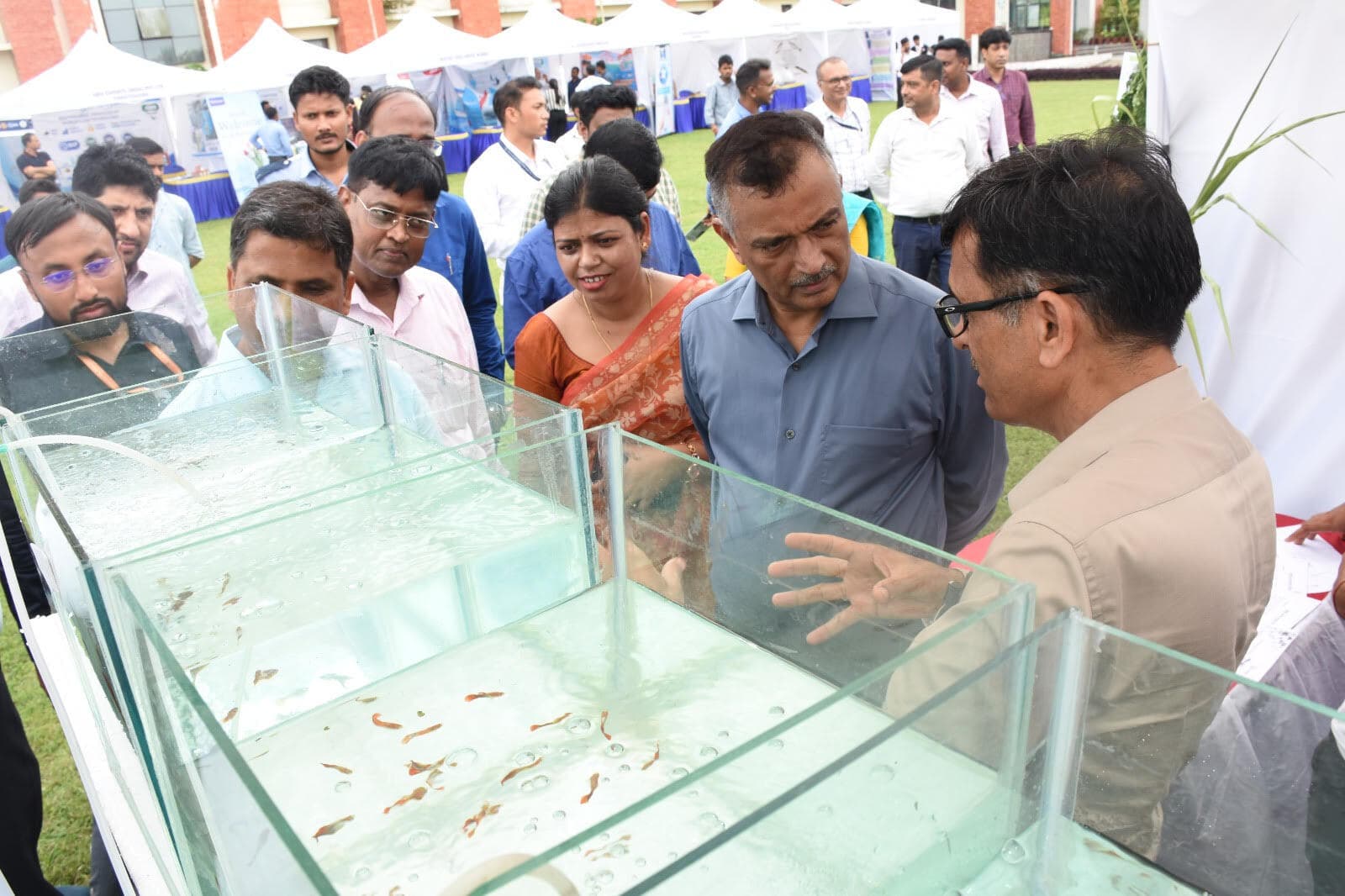 कृषि क्षेत्र में मछली उत्पादन का विशेष योगदान