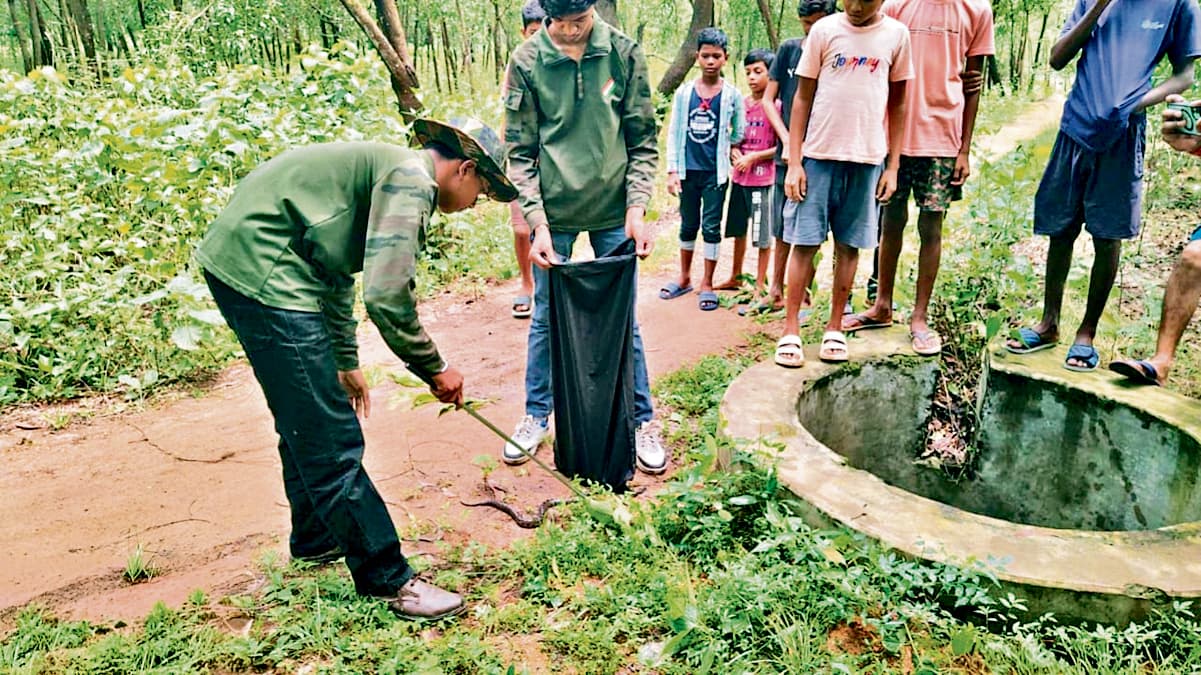 East Singhbhum News : जोड़सा के कुएं में अजगर के 17 बच्चे मिले