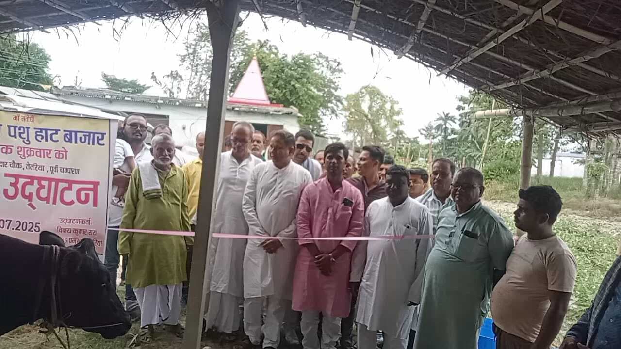 Motihari: तेतरिया में पहला पशु हाट बाजार शुरू,प्रत्येक शुक्रवार लगेगा हाट