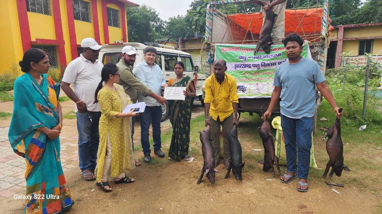 लाभुकों के बीच सूकर का वितरण