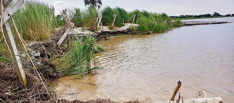 Gopalganj News : गंडक नदी में बढ़ते-घटते जल स्तर से भसहीं के किनारे हो रहा कटाव, लोगों में दहशत