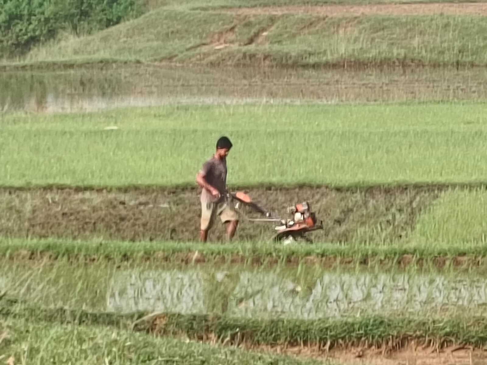 बारिश थमते ही खेतों को तैयार करने में जुटे किसान