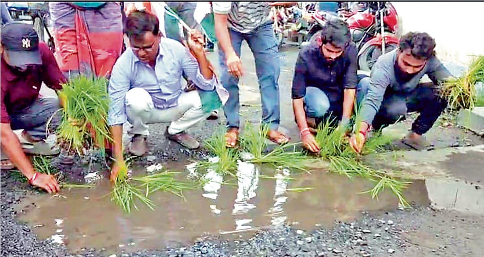 सड़क पर गड्ढे व जलजमाव विरोध में कांग्रेस ने रोपा धान
