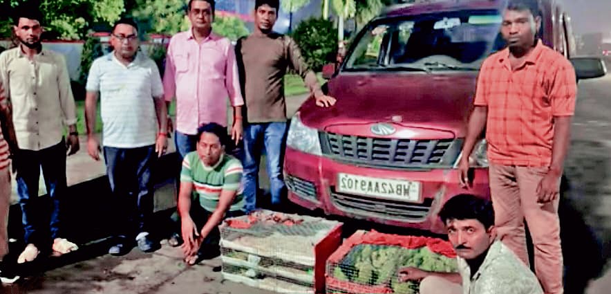 कांकसा में पक्षियों की तस्करी नाकाम, दो आरोपी अरेस्ट