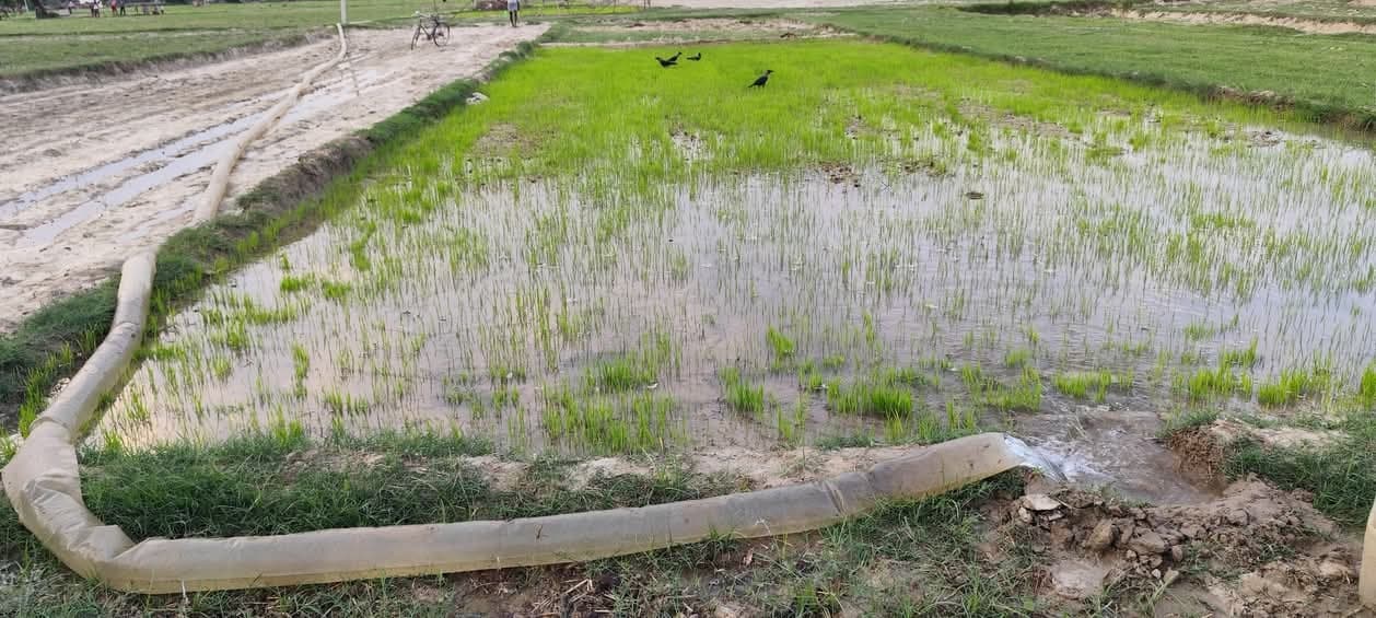 Saran News : रसूलपुर गंडक नहर का सायफन बंद, किसान परेशान