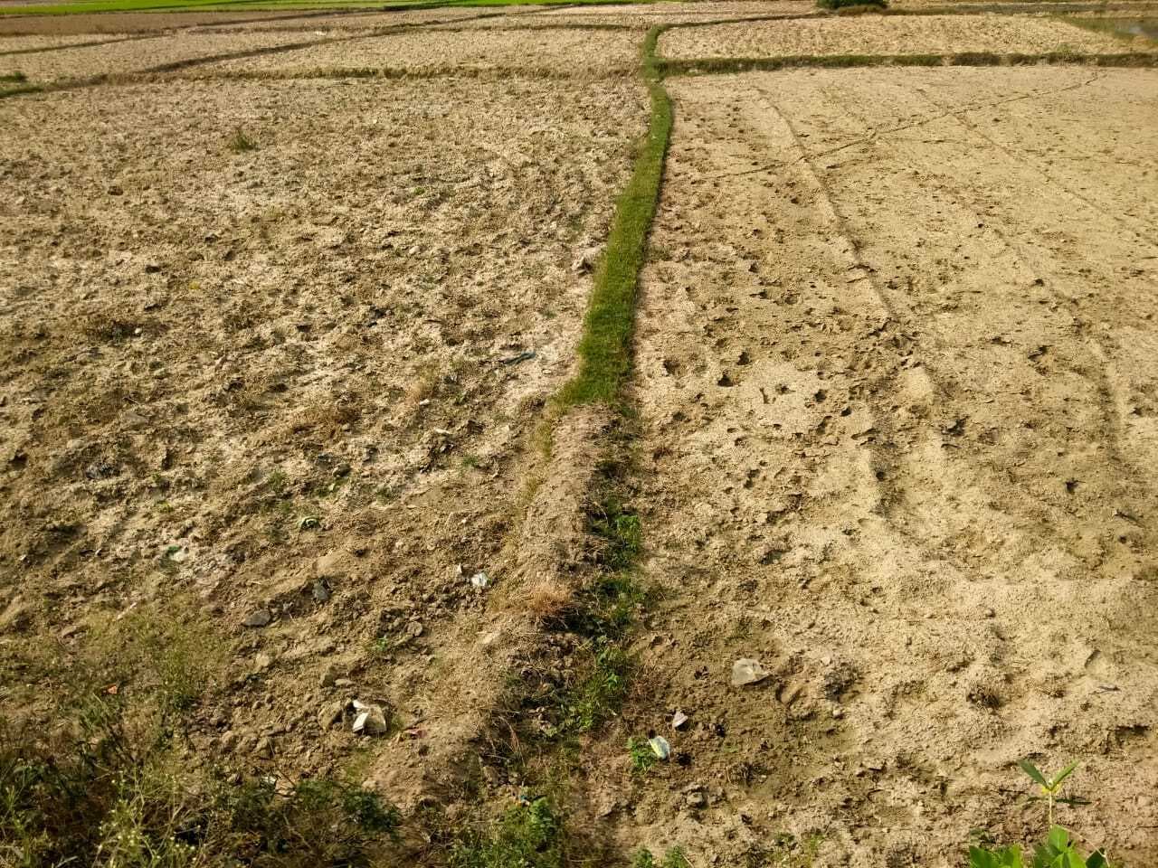 सरकार किसानों को तुरंत दे डीजल अनुदान