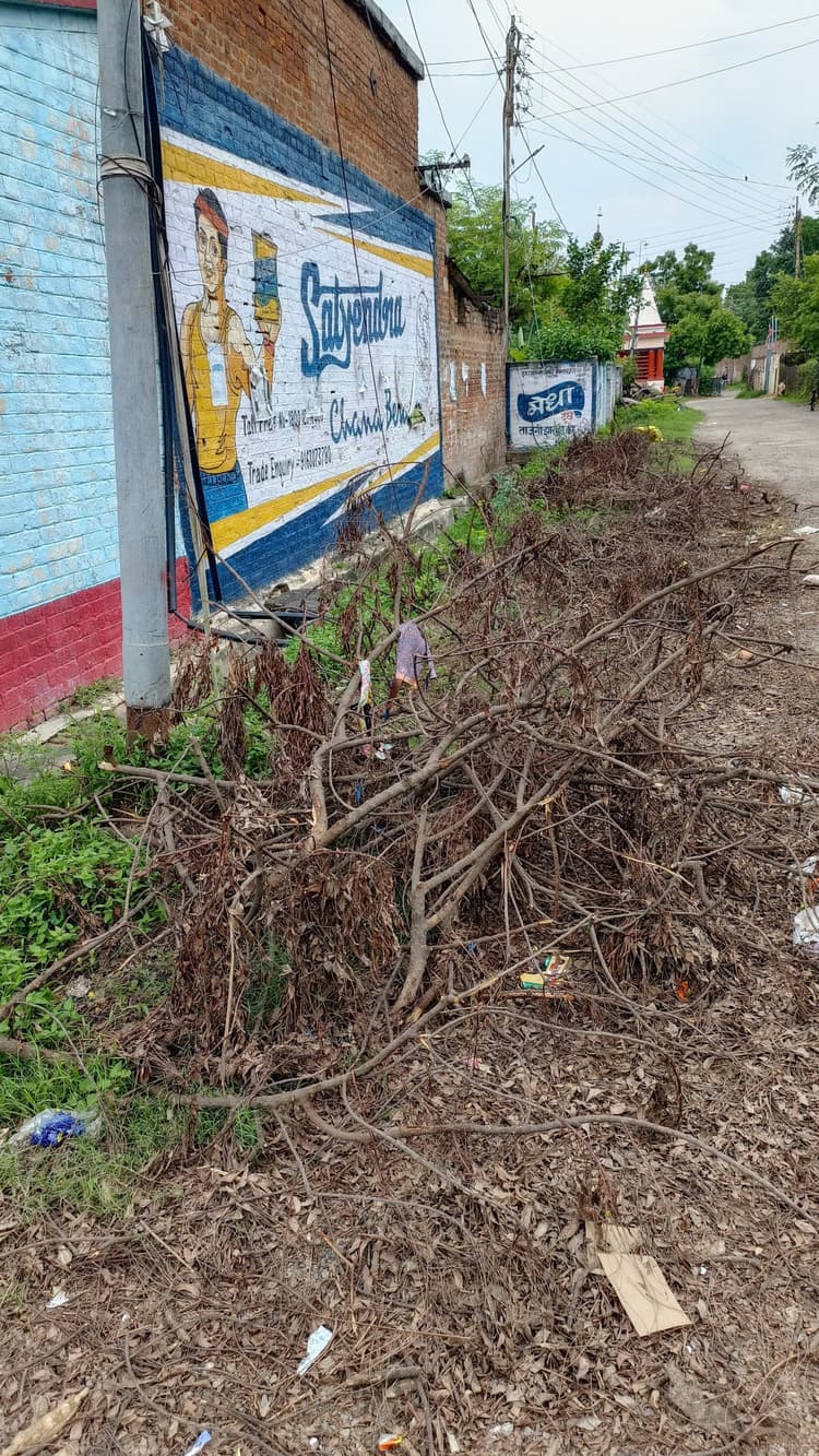 साहिबगंज रेलवे कॉलोनी की सफाई व्यवस्था बदहाल, गंदगी से लोग परेशान