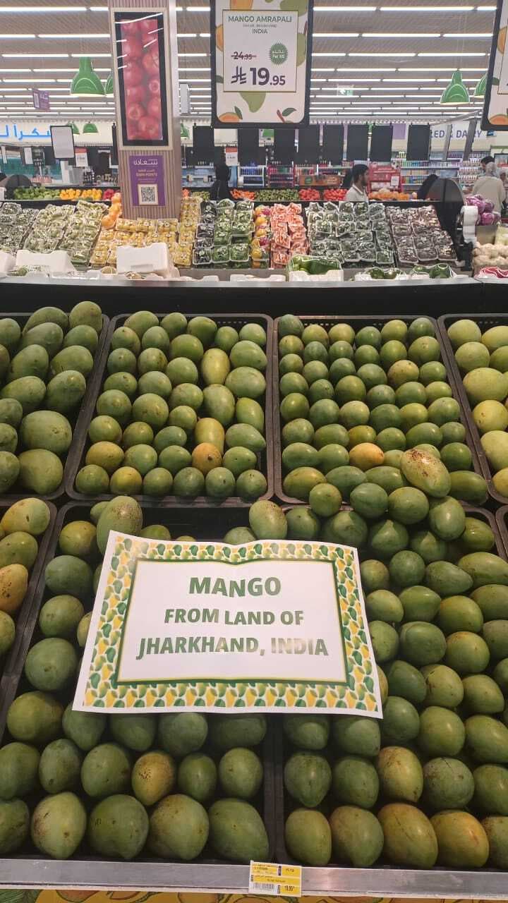 Ranchi News : झारखंडी आम का सऊदी अरब में धूम, हाथों हाथ बिके