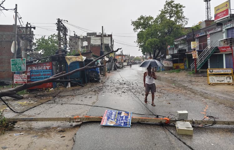 बारिश में टूटी पीपल की टहनी, मीरचक में ठप हुई बिजली