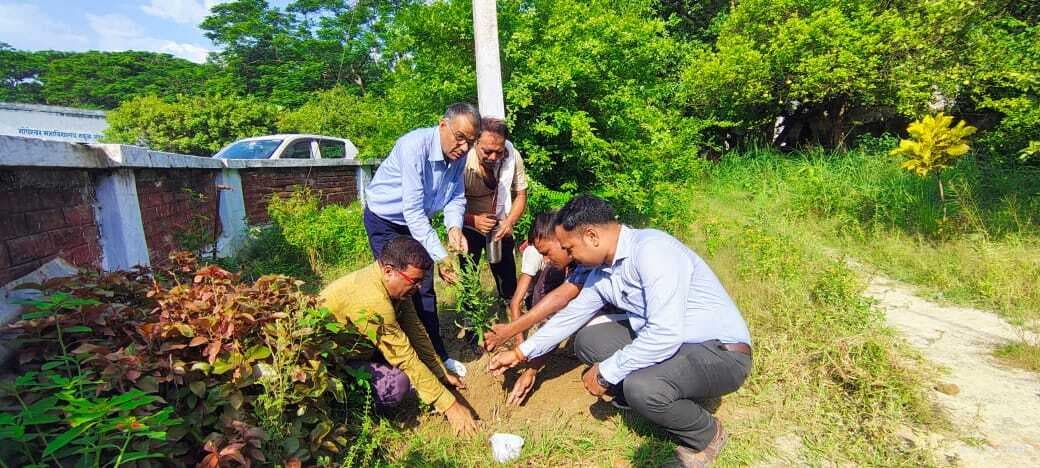 गोपेश्वर महाविद्यालय में वन महोत्सव के उपलक्ष्य पर लगाये गये पौधे