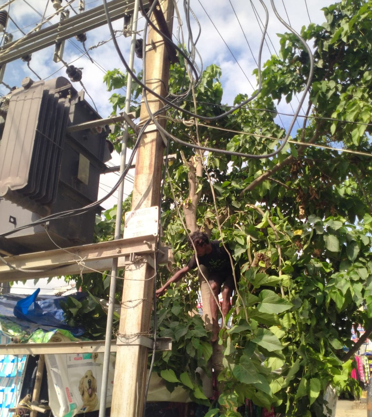 मानसून को लेकर कंपनी सजग, नहीं कटेगी बिजली