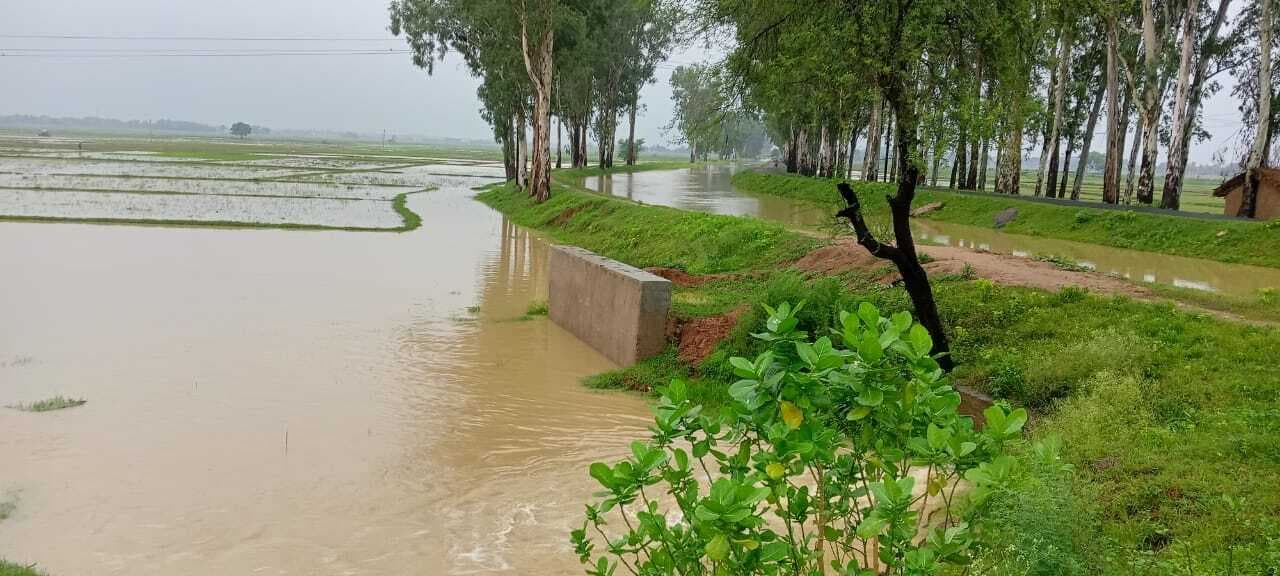बांका में लगातार बारिश से नदियां  उफान पर, खेत-बहियार भी हुआ जलमग्न