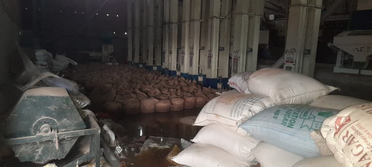 राइस मिल में पानी घुसने के कारण चावल बर्बाद