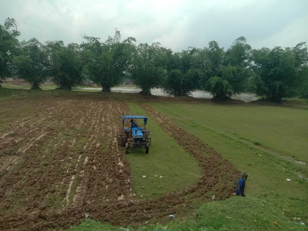 मारगोमुंडा : धान की खेती करने में जुटे किसान