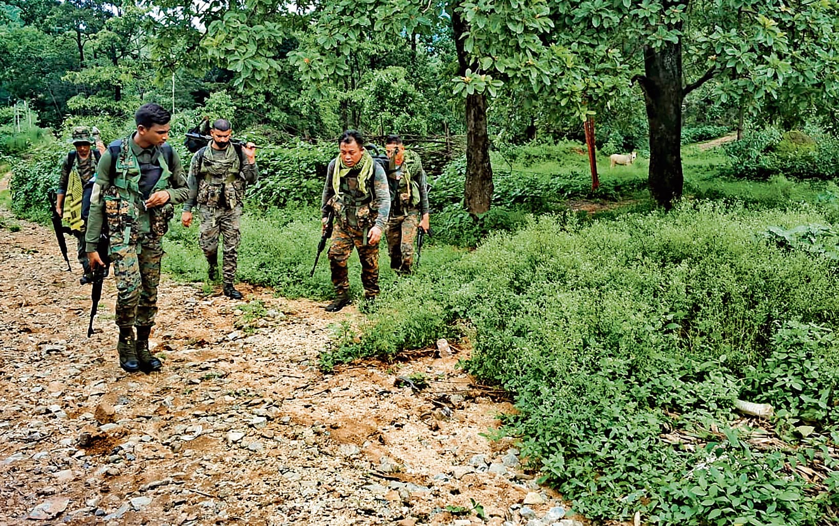 Bokaro News : बड़ी घटना को अंजाम देने की फिराक में था नक्सलियों का दस्ता