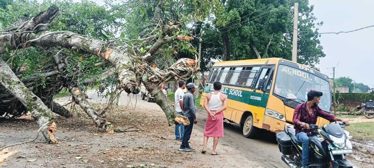 Giridih News :तेज हवा व बारिश से करीब 100 साल पुराना बरगद पेड़ गिरा