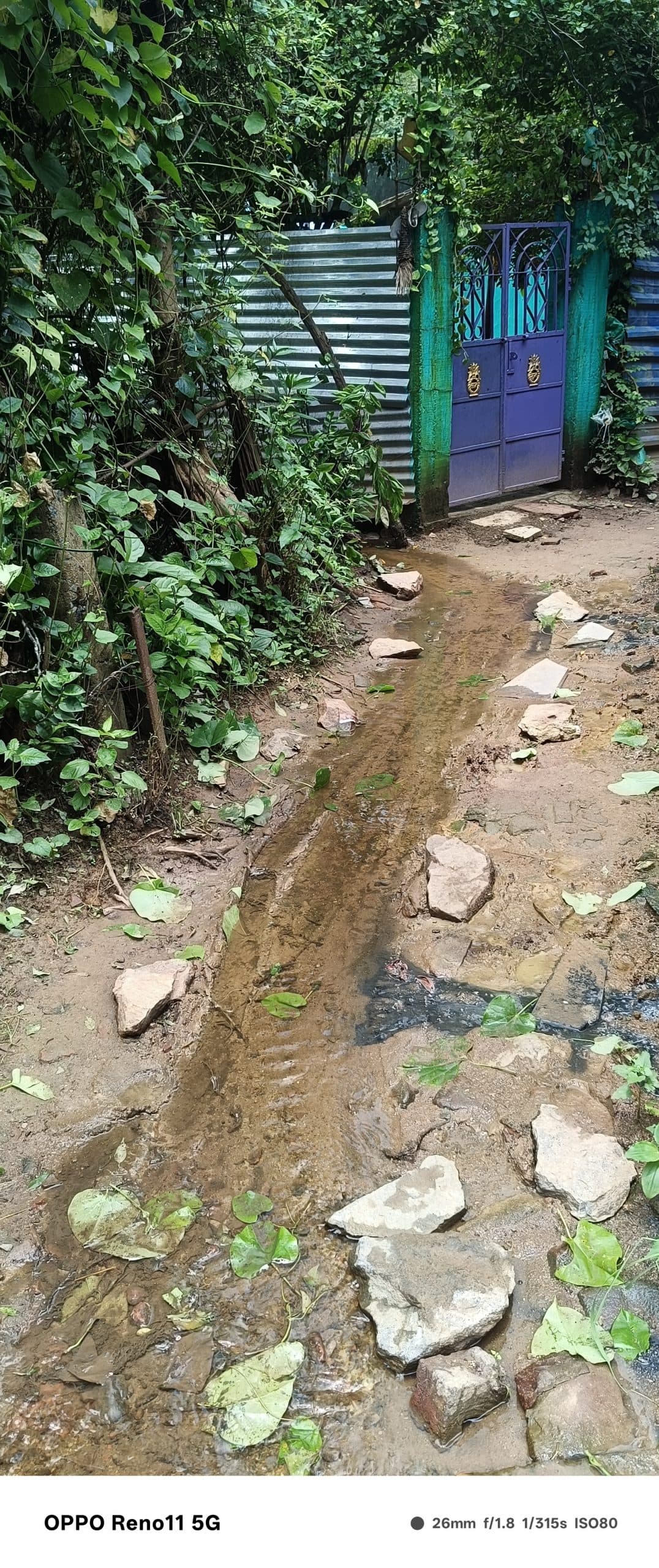 Chaibasa News : समस्याओं के मकड़जाल में फंसे नीमडीह डाकबंगला के 200 परिवार