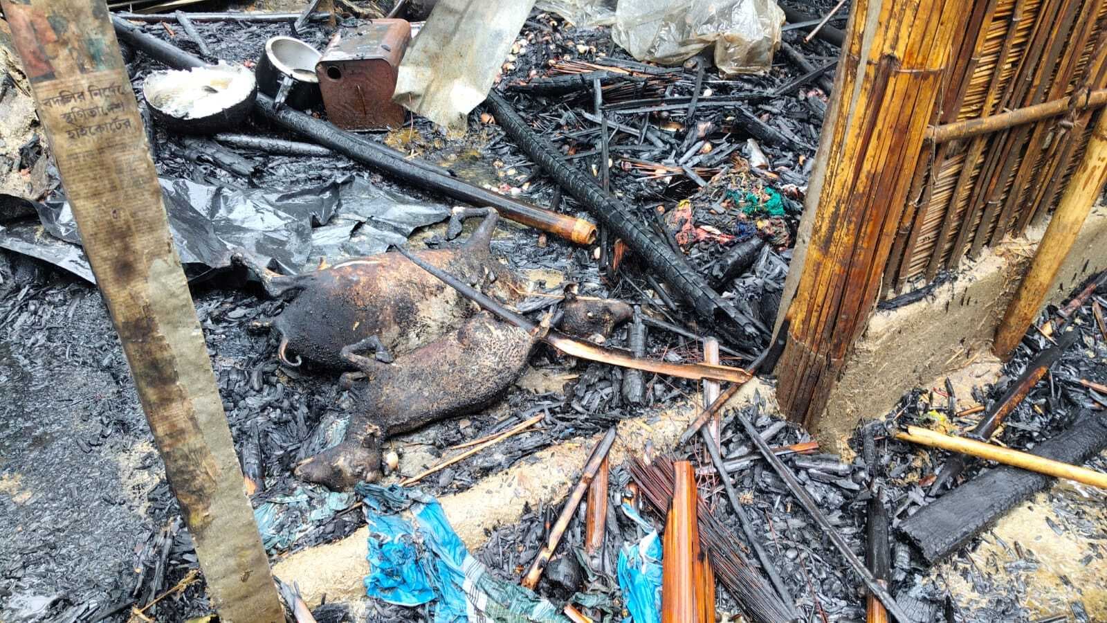 आग लगने से पांच घर राख,  दो गाय व  एक बकरी की मौत