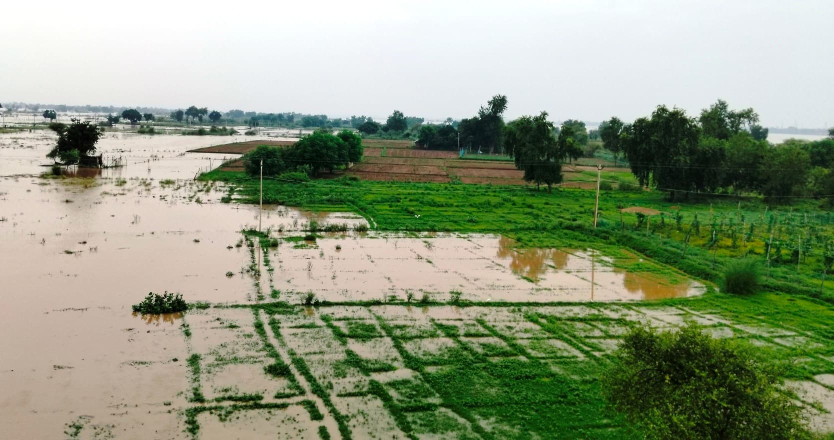 सोन नदी का जलस्तर बढ़ने से दाउदनगर में भी अलर्ट