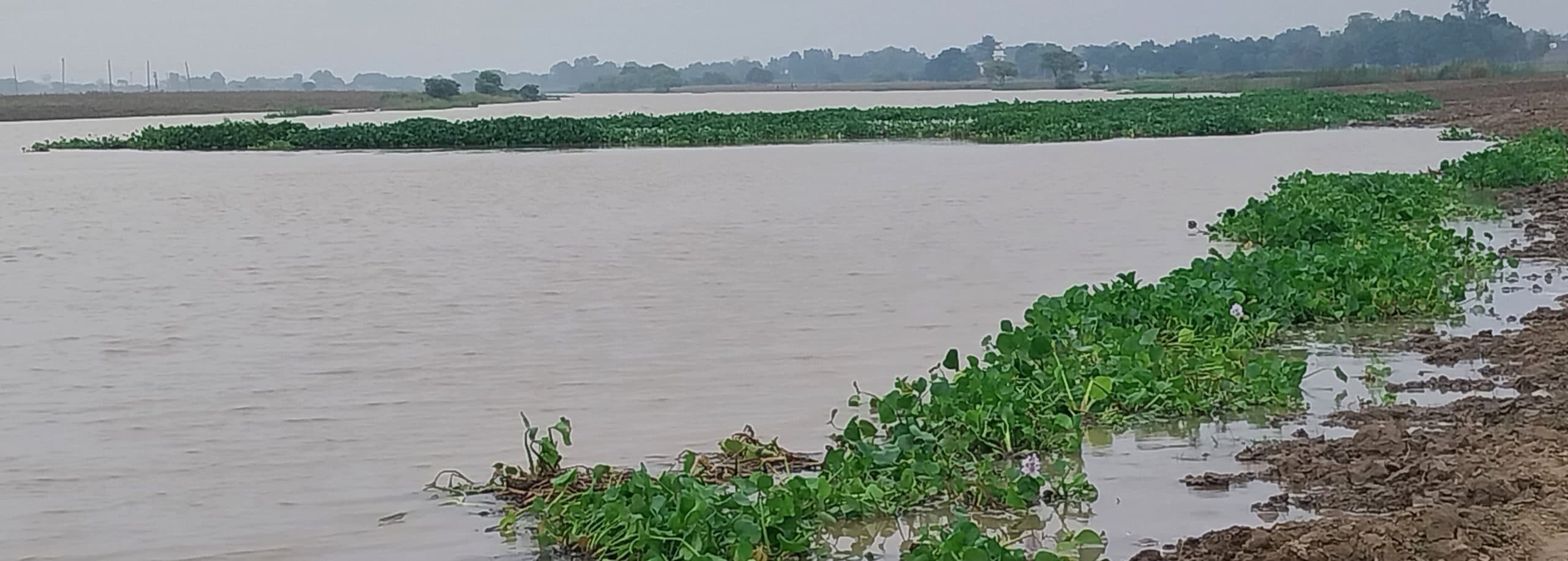 गंगा नदी के जल स्तर में लगातार वृद्धि से शाहपुर दियारा के लोग सहमें