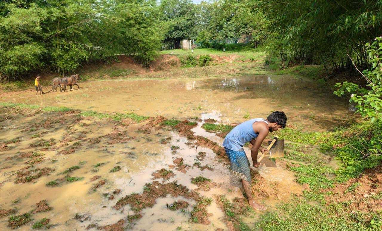 हल-ट्रैक्टर लेकर खेत तैयार करने में जुटे किसान