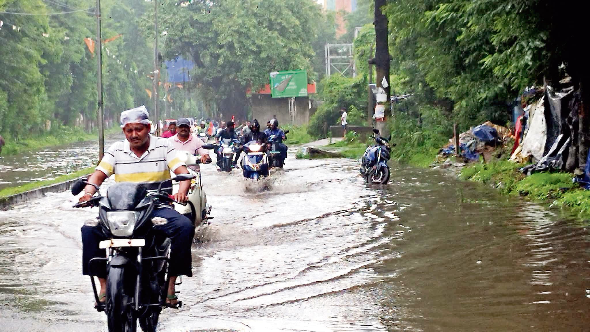 Rourkela News: मूसलाधार बारिश से जनजीवन अस्त-व्यस्त, जलजमाव से लोगों को हुई परेशानी, कई स्थानों पर पेड़ गिरे