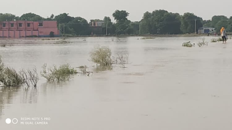 बड़हरा में गंगा नदी उफनायी, बाढ़ का खतरा बढ़ा