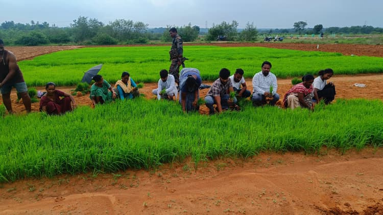 वैज्ञानिक पद्धति से कृषि कार्य करें किसान : विधायक