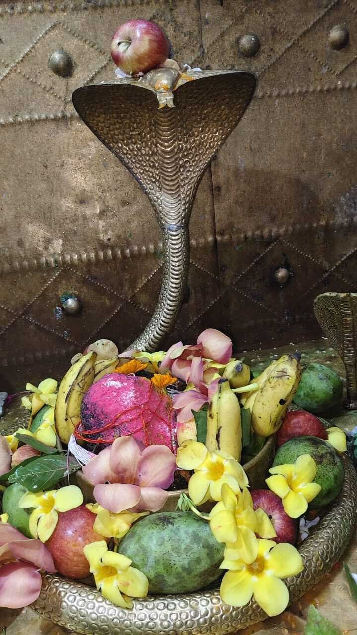 देवलेश्वर मंदिर में श्रावणी मेला शुरू, बाबा की हुई पूजा