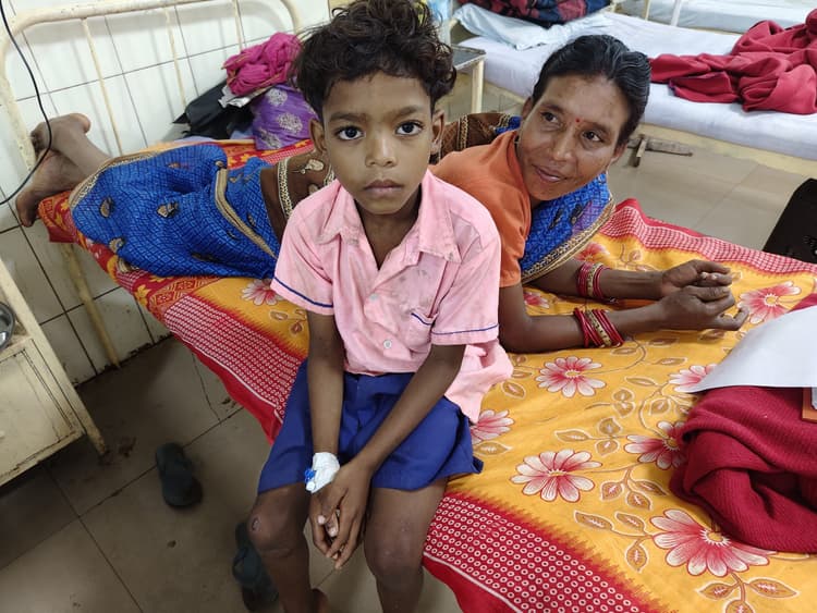Chaibasa News : सांप के काटने से महिला की मौत, बच्चा भर्ती