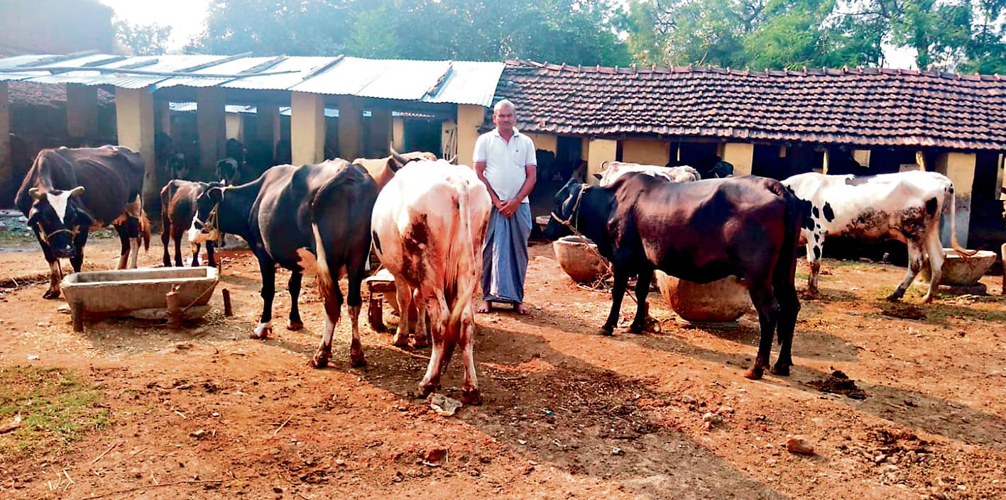 Seraikela Kharsawan News : जय प्रकाश ने गोपालन को बनाया आत्मनिर्भरता का आधार