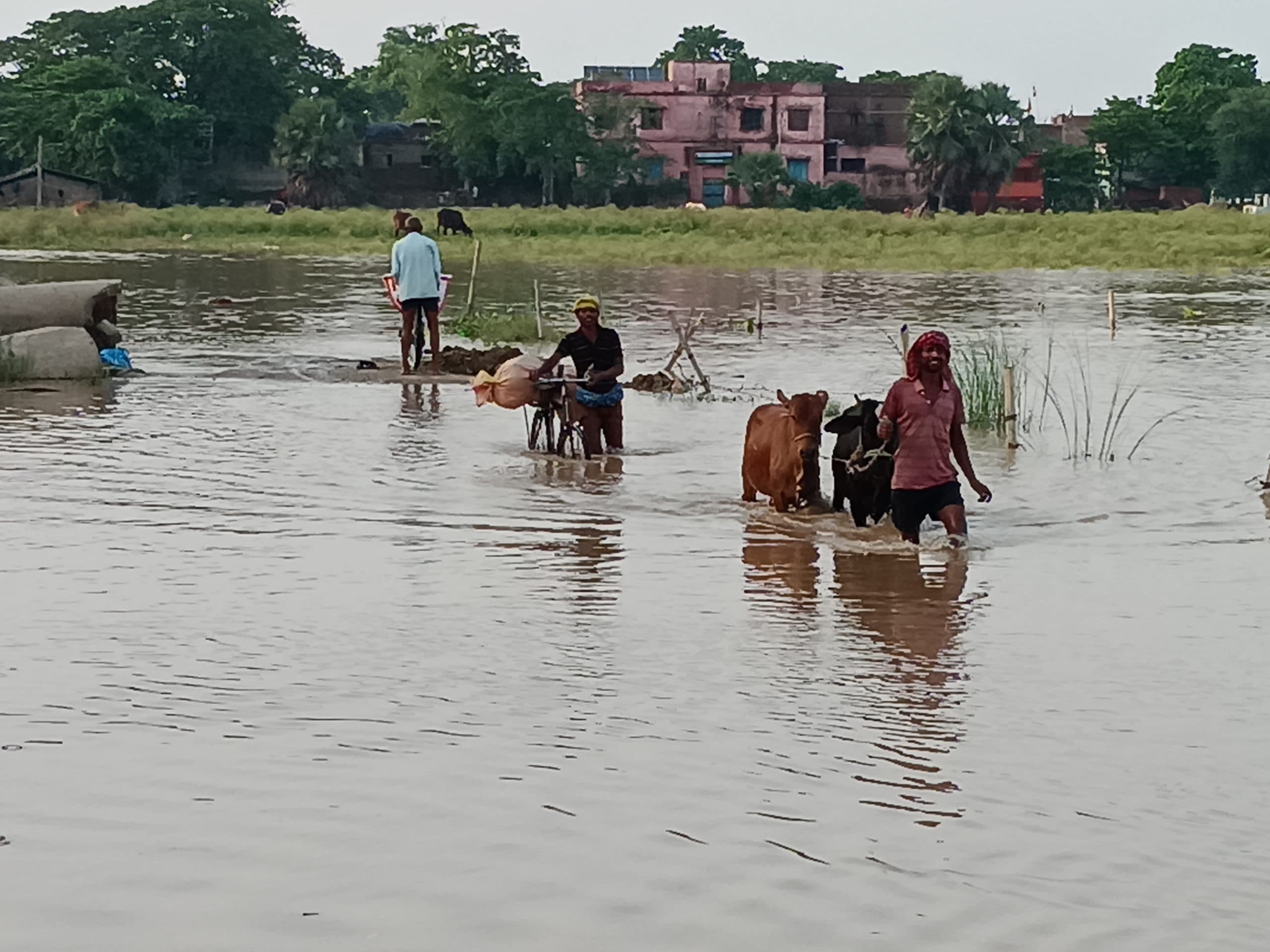 प्रखंडों में बाढ़ जैसे हालात, कई गांव प्रभावित