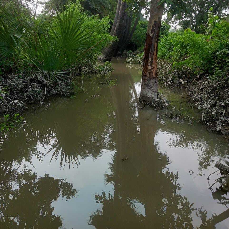 hajipur news. शराब लदी कार पानी भरे गड्ढे में पलटने से तस्करी के आरोपित की मौत