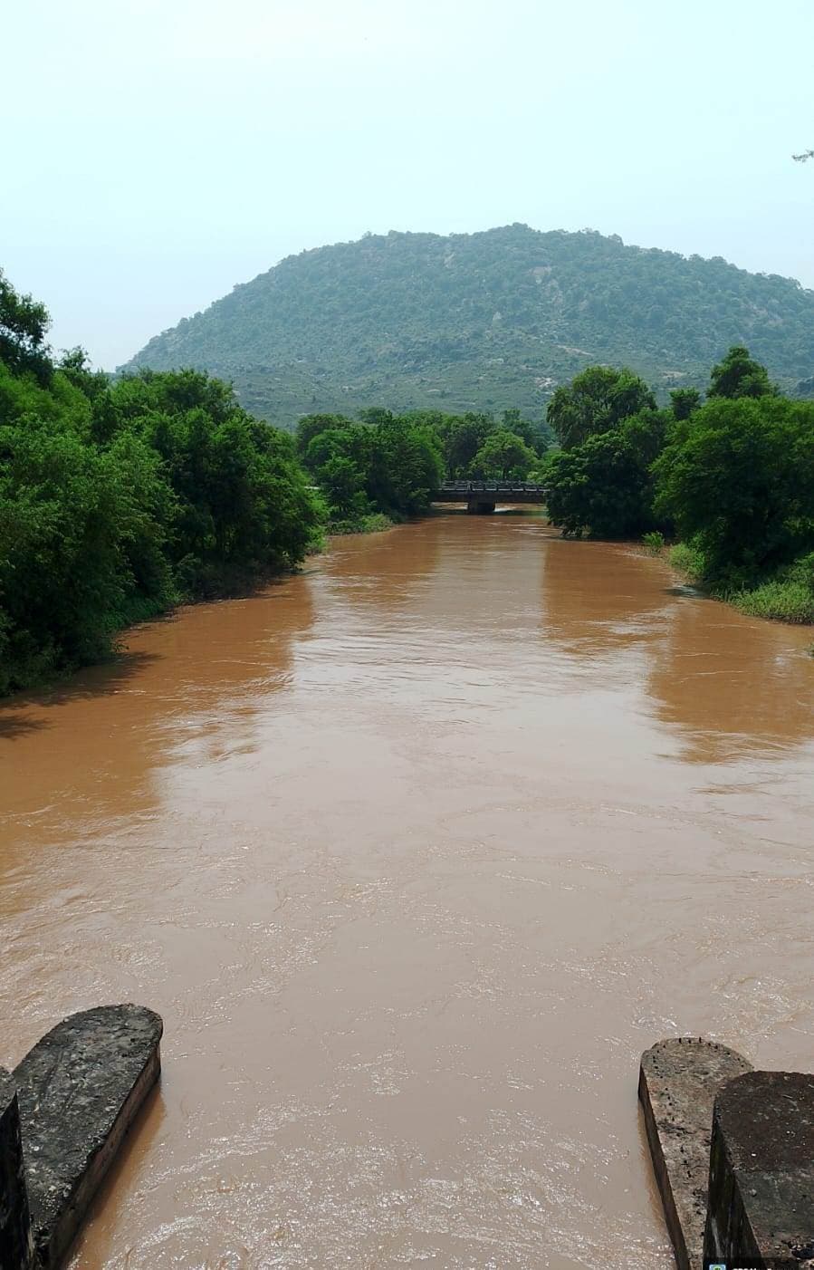 बराज से उत्तर कोयल मुख्य नहर में छोड़ा गया 1647 क्यूसेक पानी
