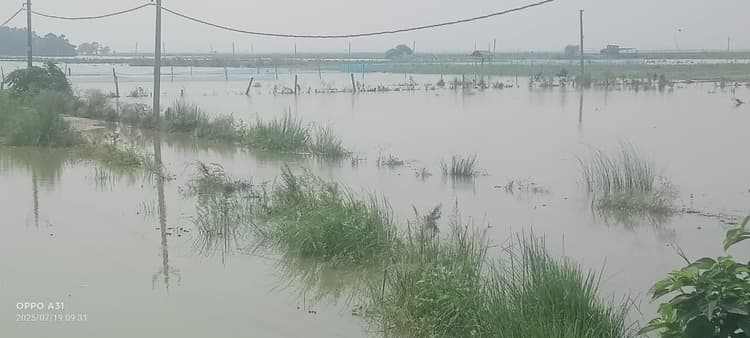 Samastipur News:गंगा के जलस्तर से वृद्ध जारी, रिहायशी इलाकों में सताने लगा डर