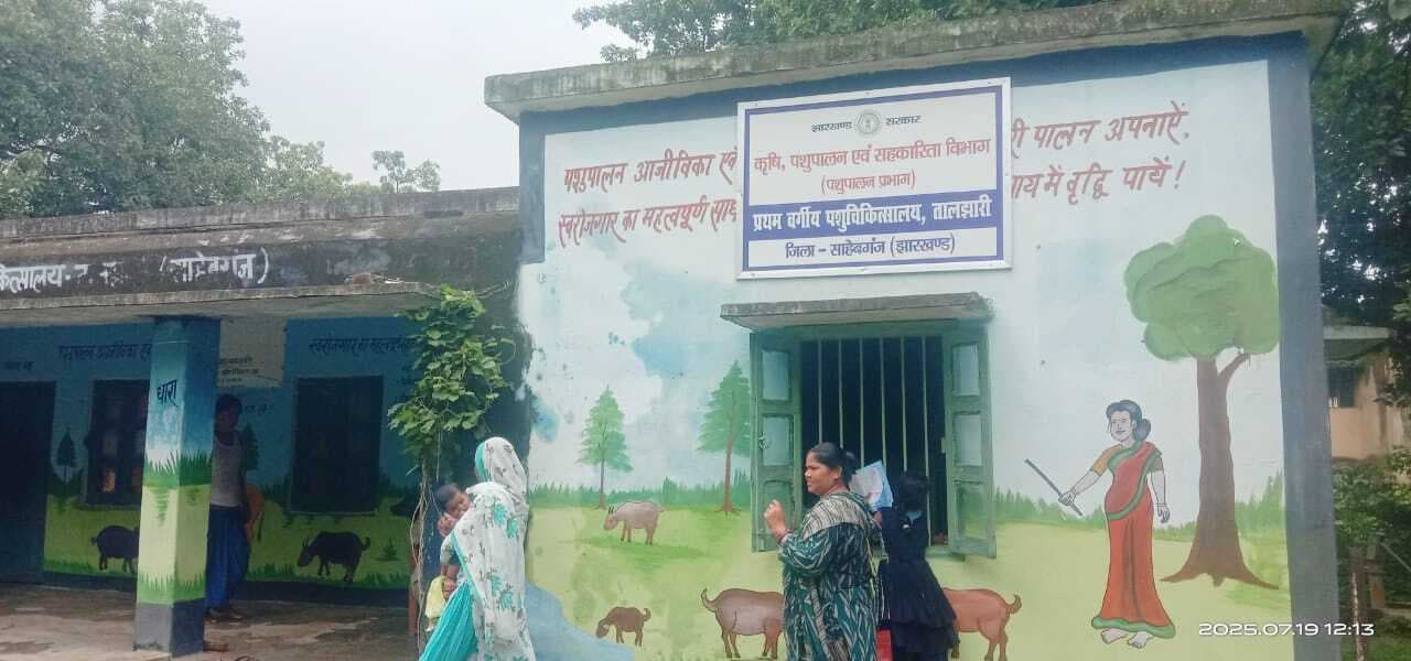 तालझारी पशु चिकित्सालय की स्थिति बदहाल, जर्जर भवन की छत से रिसता है पानी