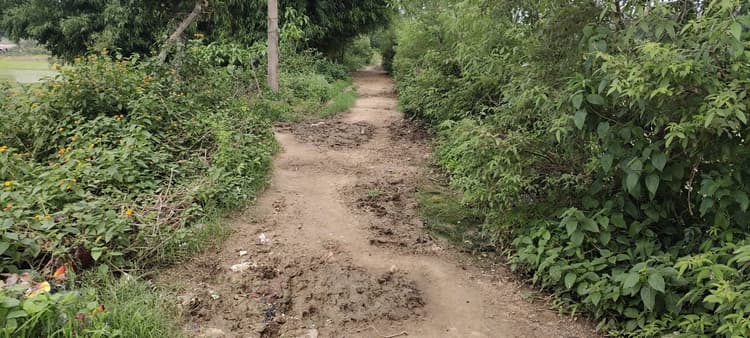 Giridih News: विद्यालय जाने के लिए नहीं है पहुंच पथ, पगडंडी होकर जाते हैं बच्चे