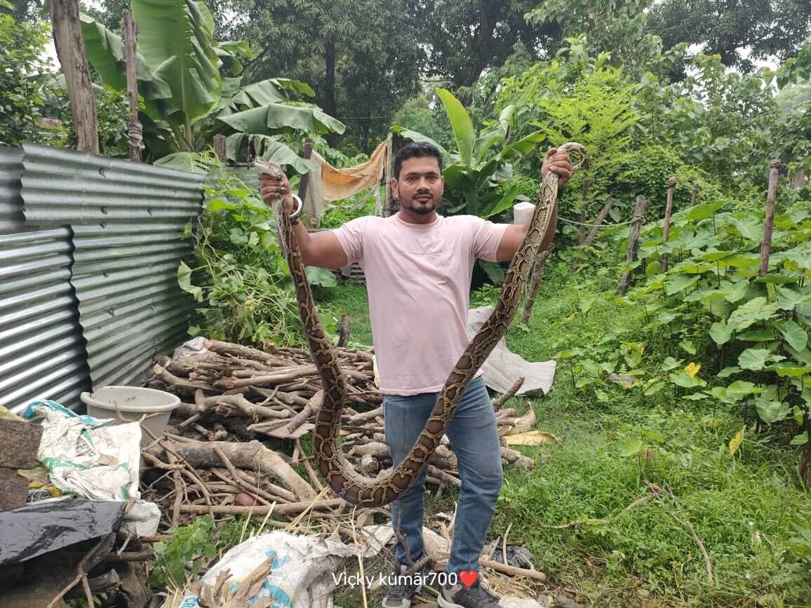 Bettiah : अलग-अलग दो घरों में निकले सांप, परिजनों में मची अफरा-तफरी