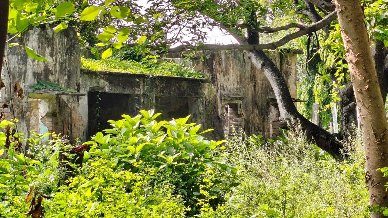 Bettiah : प्रखंड, अंचल व स्वास्थ्यकर्मियों का आवास बने खंडहर