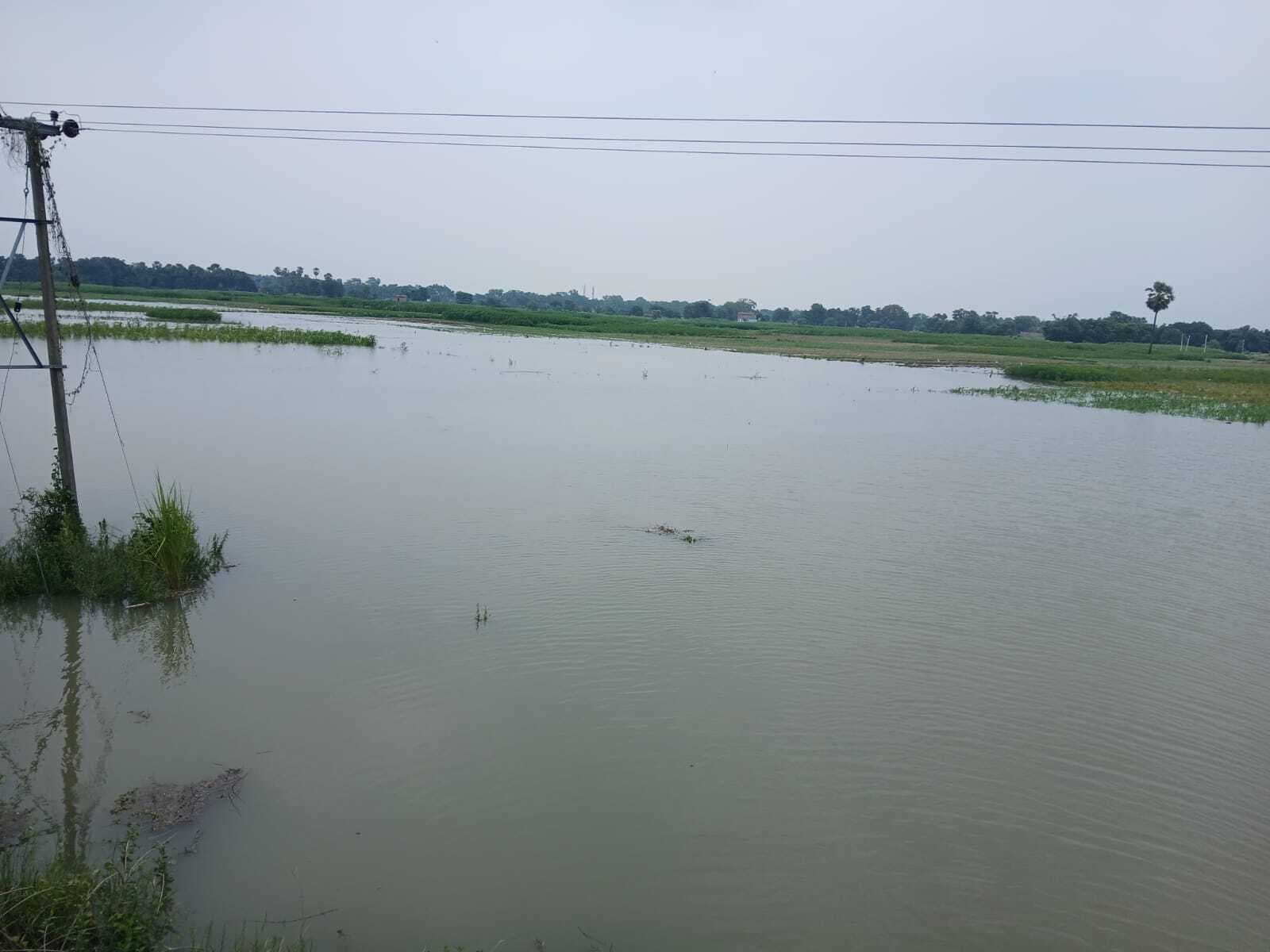 Samastipur News:गंगा खतरे के निशान से 98 सेमी उपर, आनंदगोलवा-चापर पथ ठप