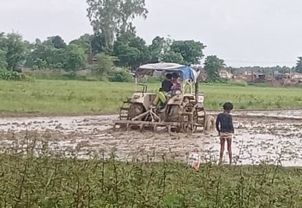 झमाझम बारिश से बिचड़ों में आयी जान, धानरोपनी को तैयार हुए किसान