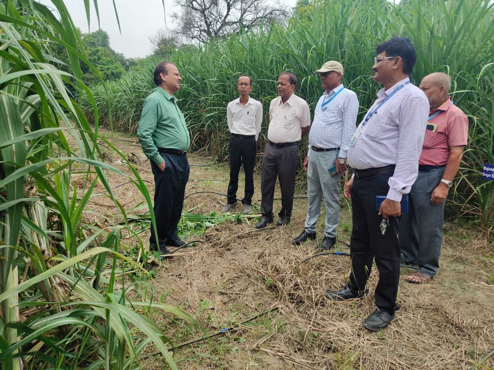 Samastipur News:गुड़ निर्माण इकाई के 33 लाइसेंस निर्गत