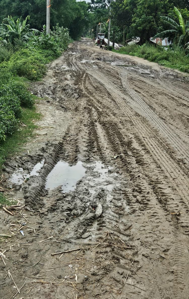 दमदमा-बहरखाल-मीनापुर तटबंध पर बनी सड़क जर्जर