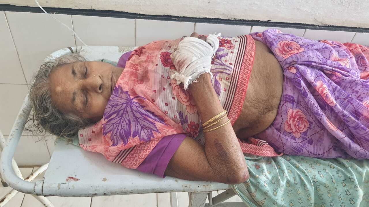 फूल तोड़ने जा रही वृद्ध महिला सड़क दुर्घटना में हुई घायल